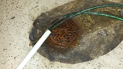 signs of sewer line issue - puddling water in a floor drain