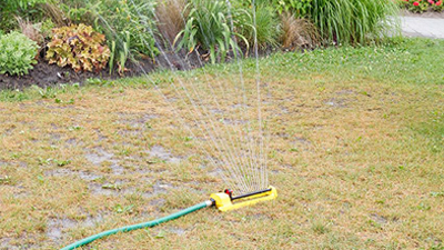 save water - reduce water usage in your yard