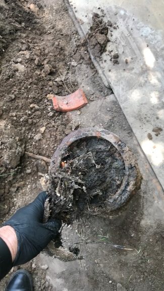 A gloved hand holds a clogged, dirt-covered pipe removed from the ground, surrounded by soil and debris—clear evidence of common sewer line problems.