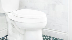 %Title% | Any Hour Services Hidden Costs of a Leaky Toilet & How to Fix Them | Arizona Homes