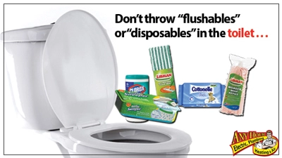 %Imagetitle% | Any Hour Services A toilet surrounded by disposable products, with a warning sign advising not to flush "flushables" or "disposables"—one of the top plumbing tips to avoid a plumbing emergency.