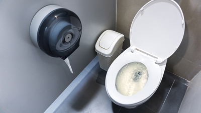 %Imagetitle% | Any Hour Services A clean public restroom with a white toilet, an open lid, a wall-mounted toilet paper dispenser, and a small trash bin beside the toilet—regular maintenance helps prevent common plumbing problems in such spaces.