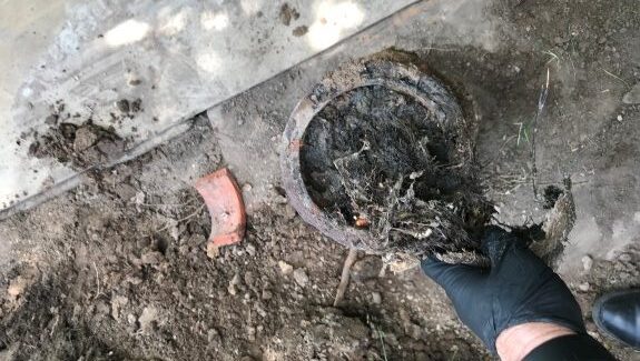 %Title% | Any Hour Services A gloved hand holds a clogged, dirty pipe covered in debris and roots, with soil and a piece of broken tile visible on the ground.